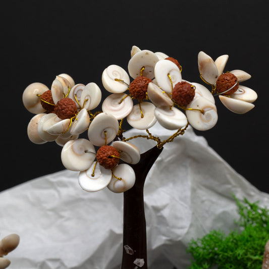 Μεσαίο πέτρινο δέντρο Gomati Chakra Circle με Rudraksha - (45 πέτρες)