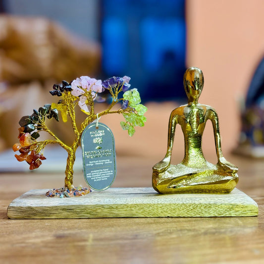 Seven Chakra Gemstone Yoga Garden – Mudra Pose